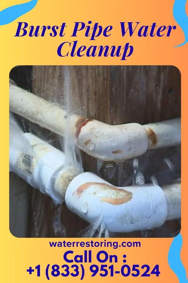 Burst Pipe Water Cleanup in Laurel, VA