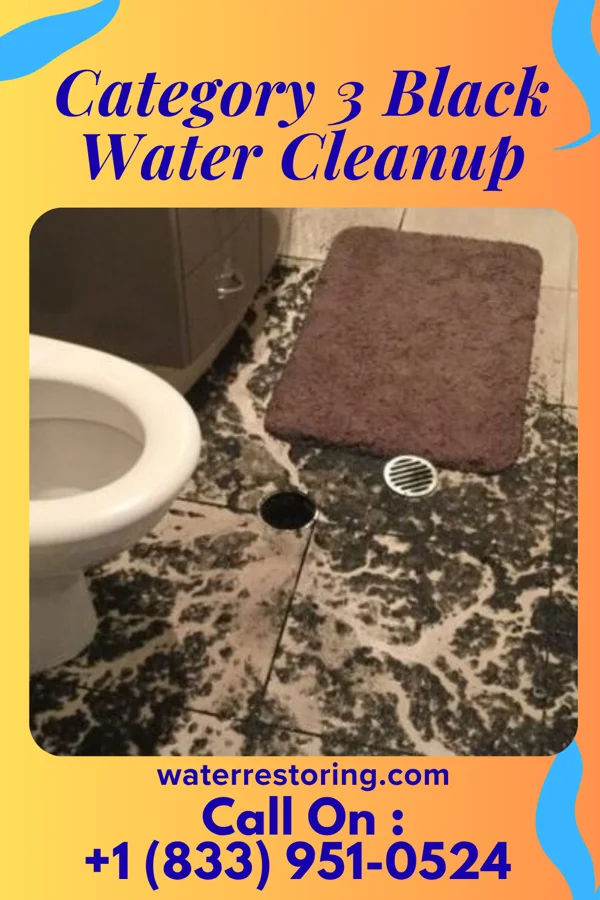 Category 3 Black Water Cleanup in Laurel, VA