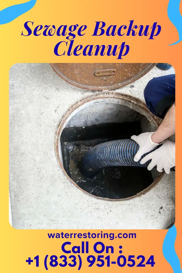 Sewage Backup Cleanup in Laurel, VA