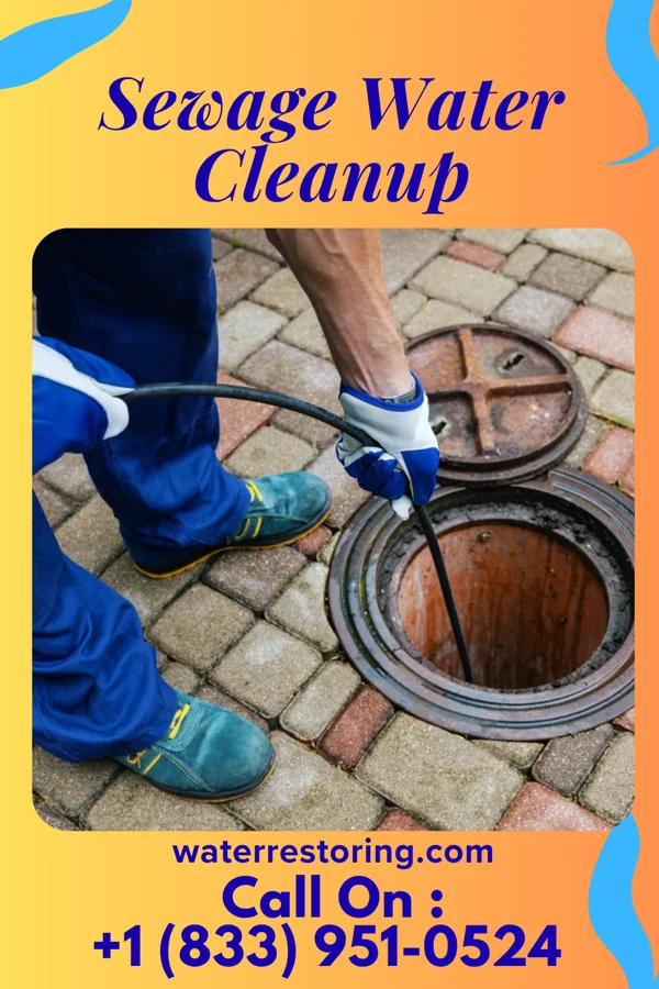Sewage Water Cleanup in Laurel, VA