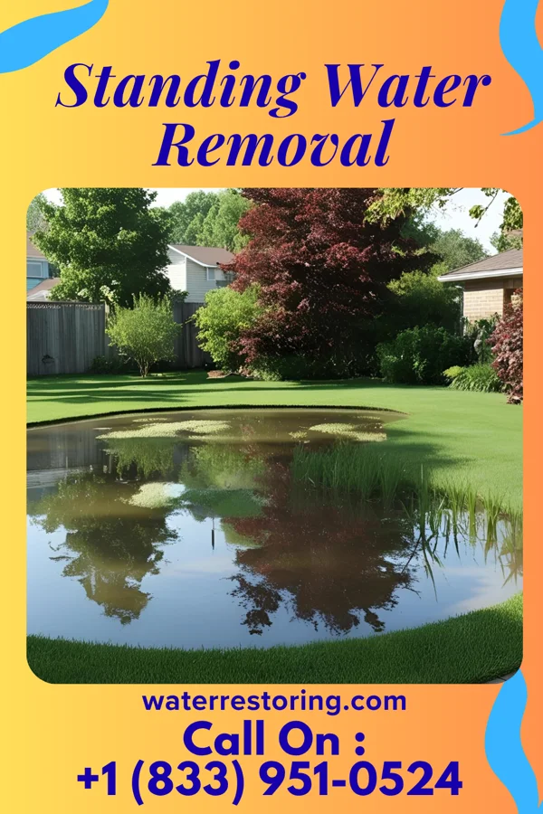 Standing Water Removal in Laurel, VA